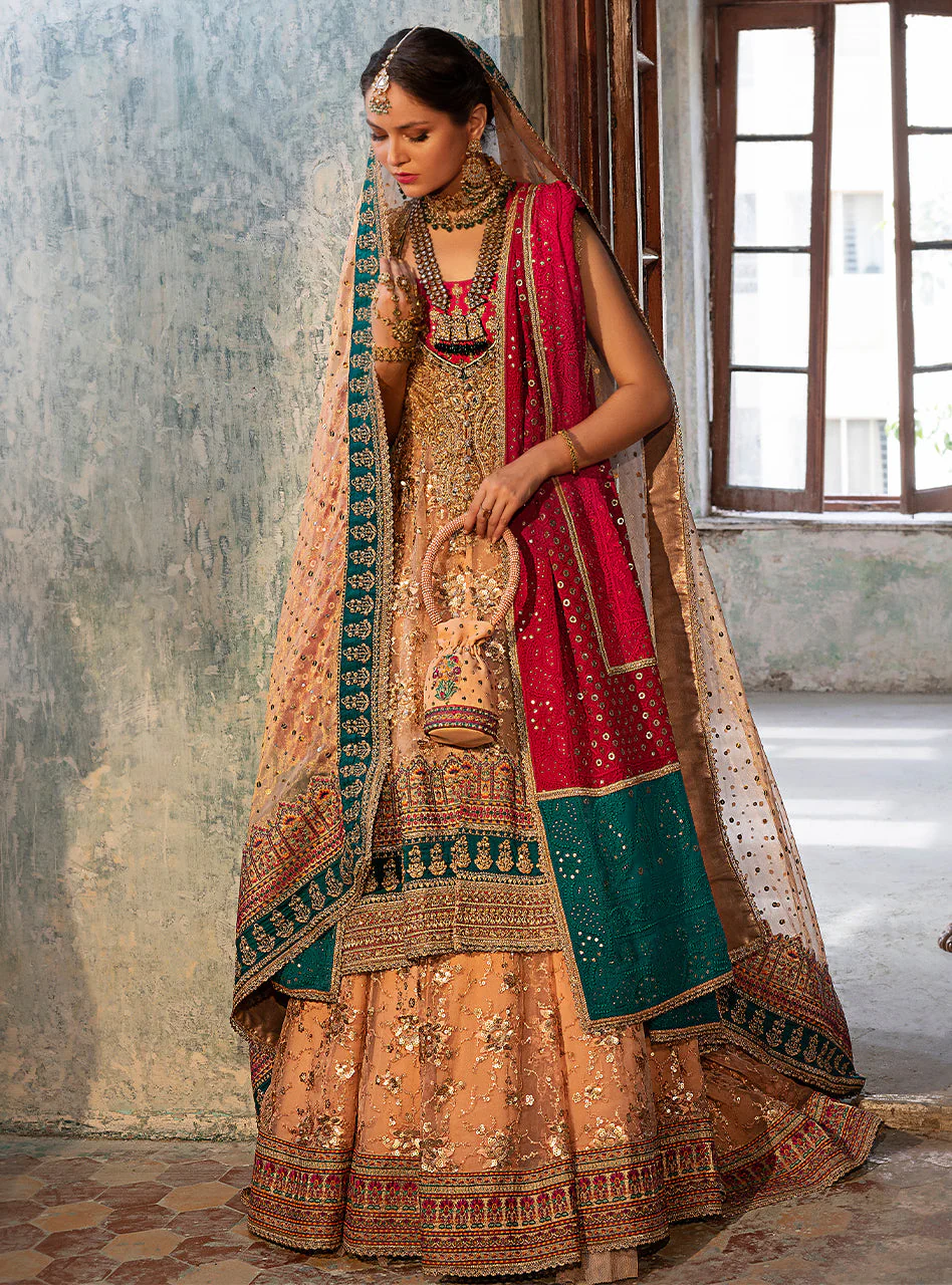 Shah Gul - Image 3