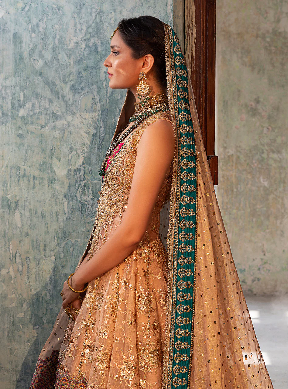 Shah Gul - Image 4