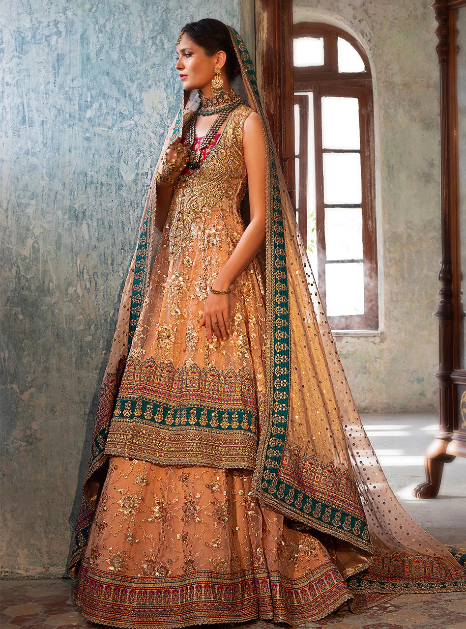 Shah Gul - Image 5