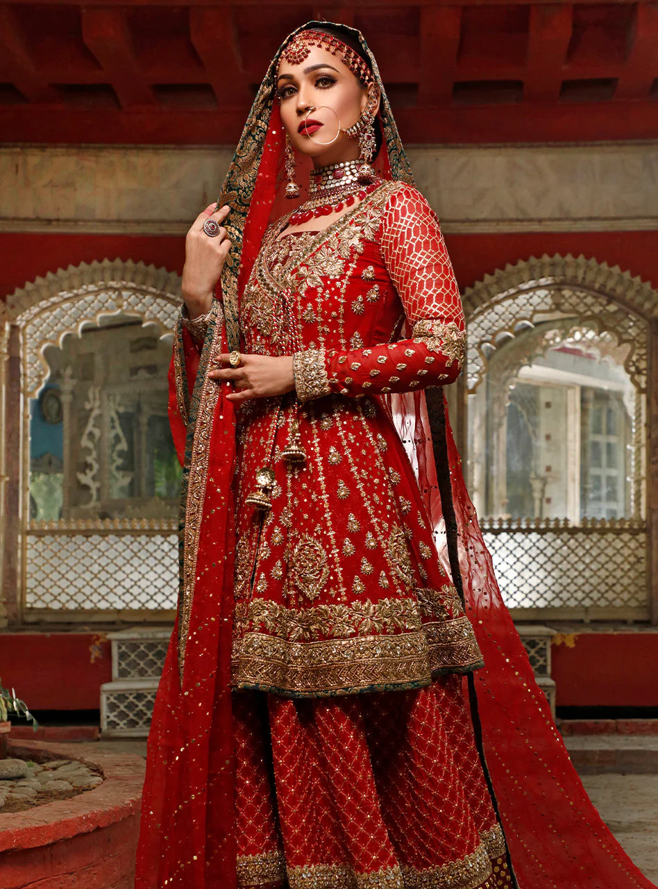 Gul Noor - Image 4
