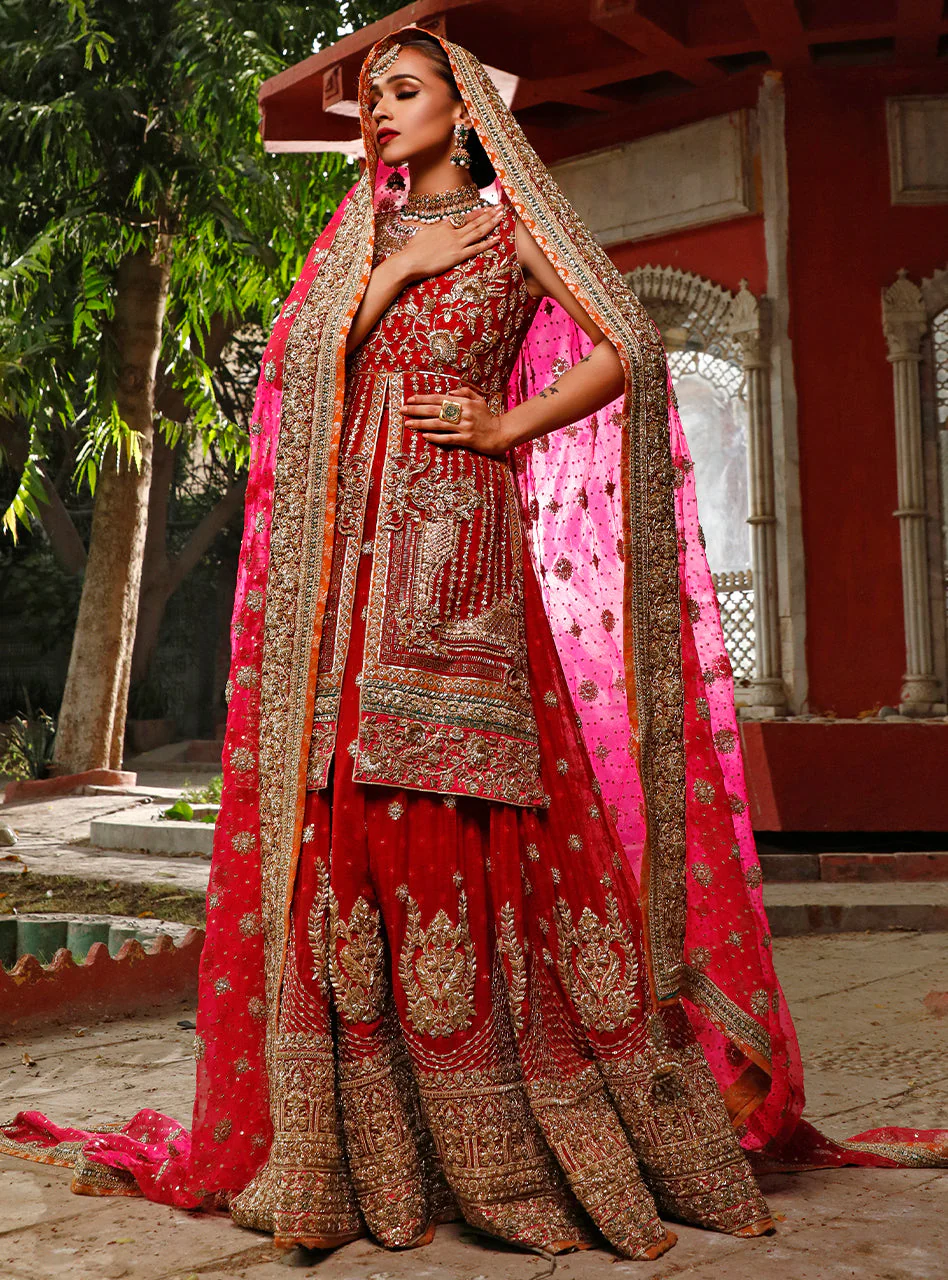 Gul Noor - Image 6