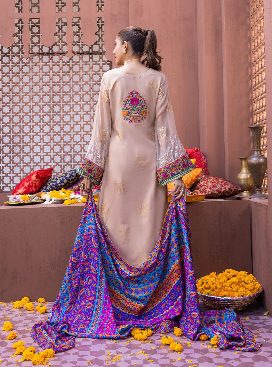 Hayal - Image 2