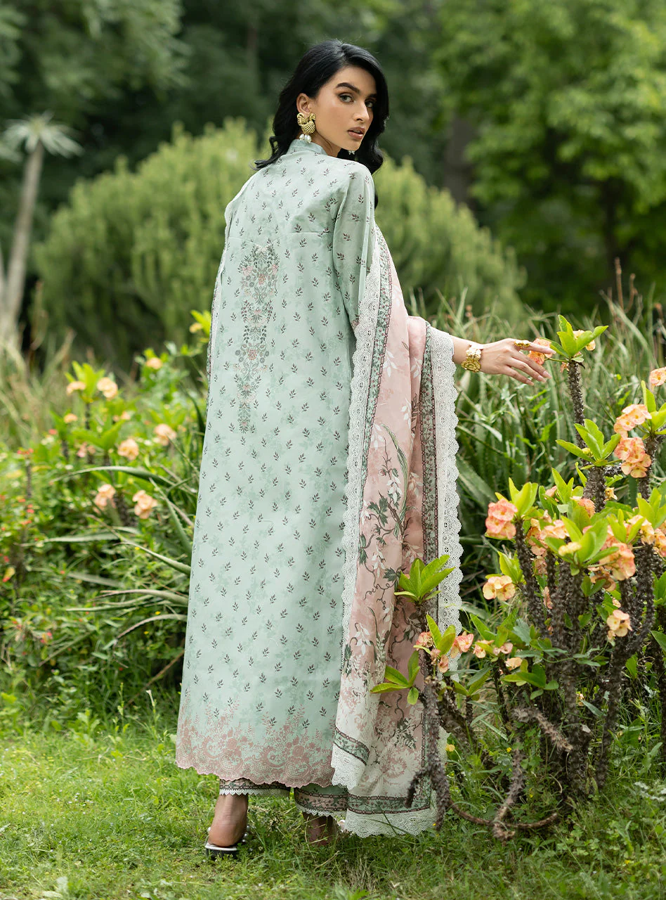 Ivie - 13 - Image 3