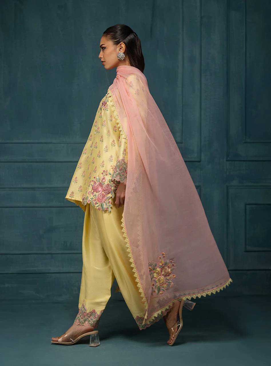 Sona - Image 4